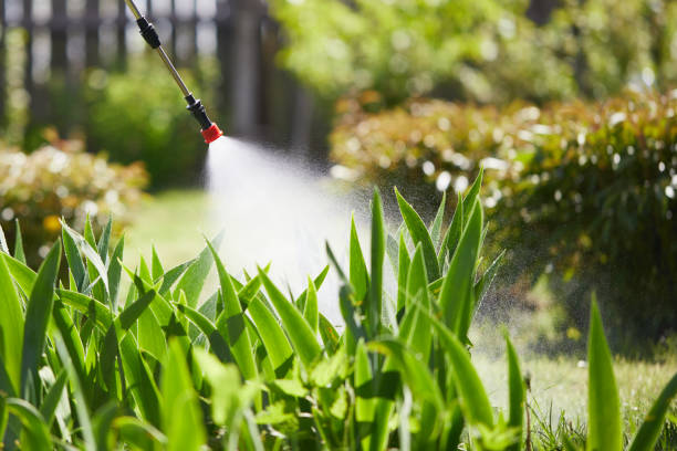 24/7 Emergency Mosquito Control experts in Clark, SD